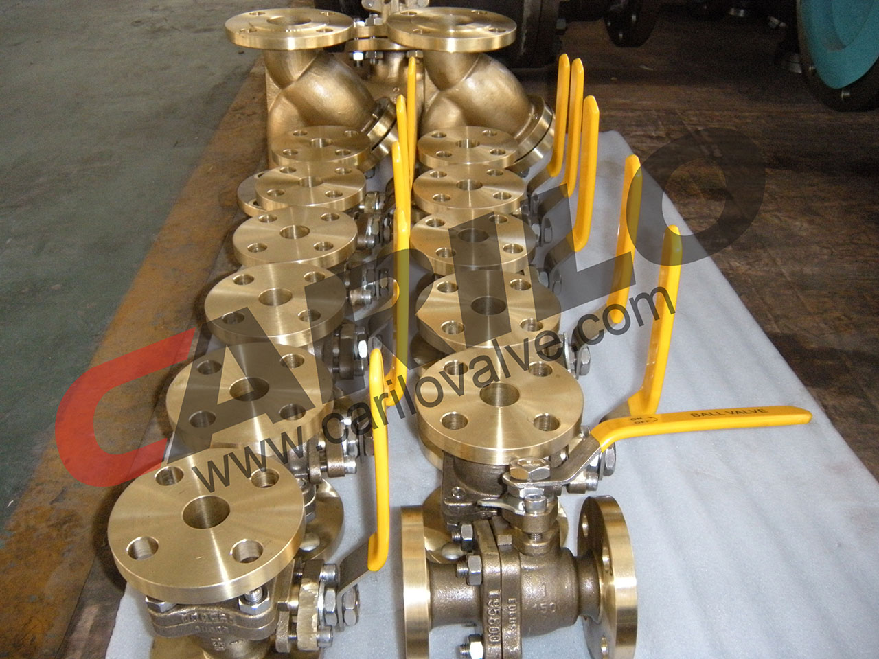 Bronze Valve Specialist