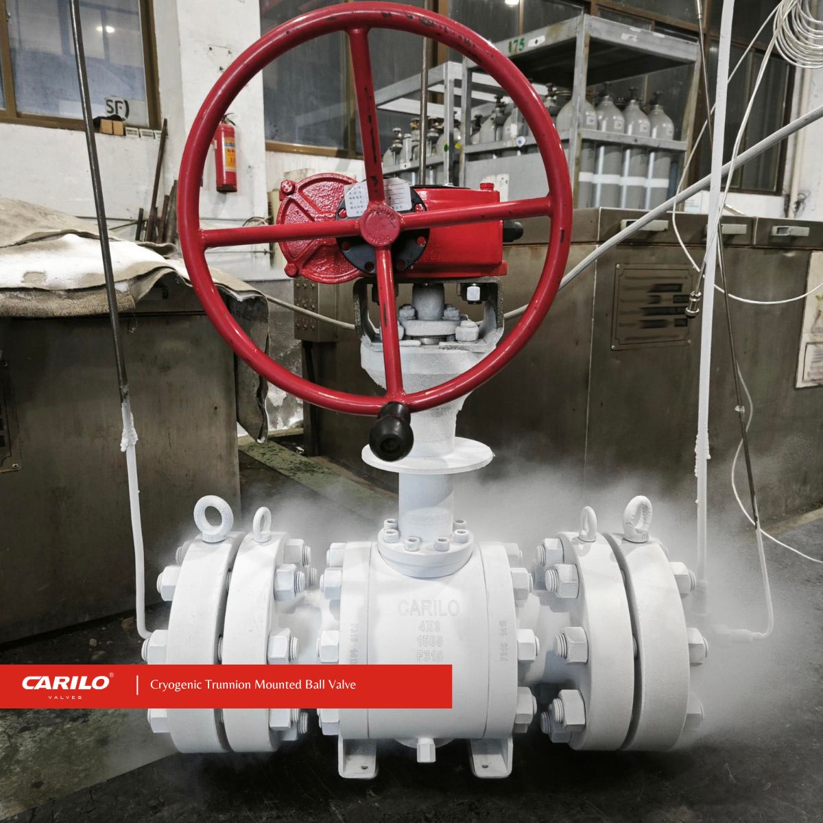 CARILO F316 Cryogenic Trunnion Ball Valve | Class 1500 Zero Leakage for European LNG Project