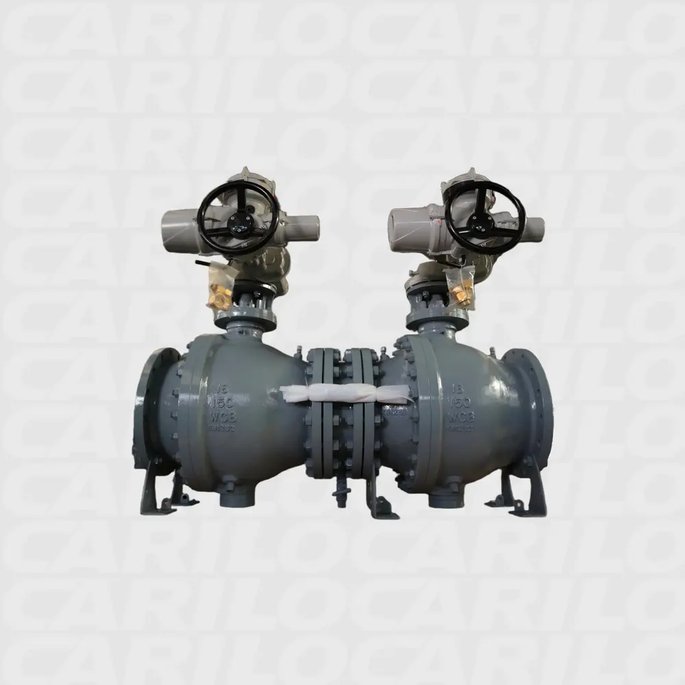 CARILO DBB Compact Manifold product view 3