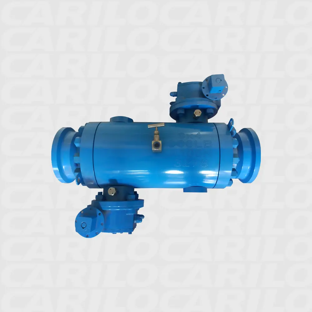 CARILO DBB Compact Manifold product view 2