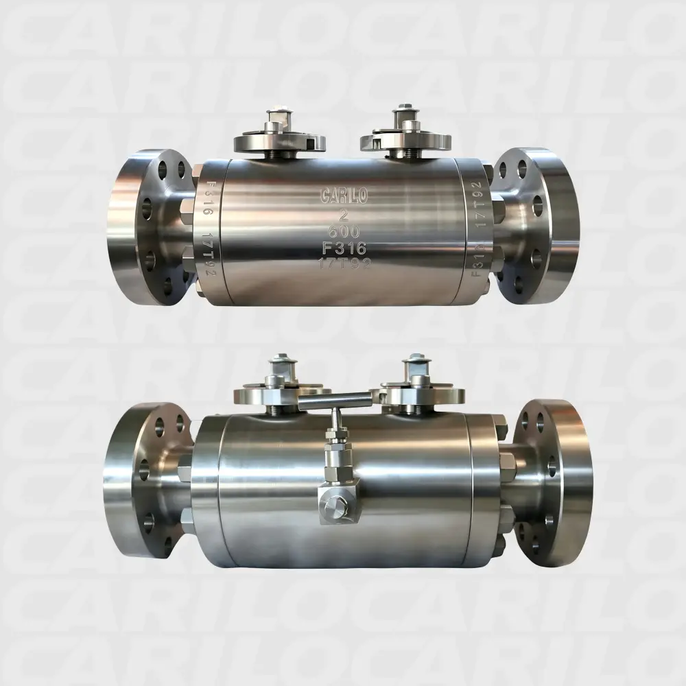 CARILO DBB Compact Manifold product view 4